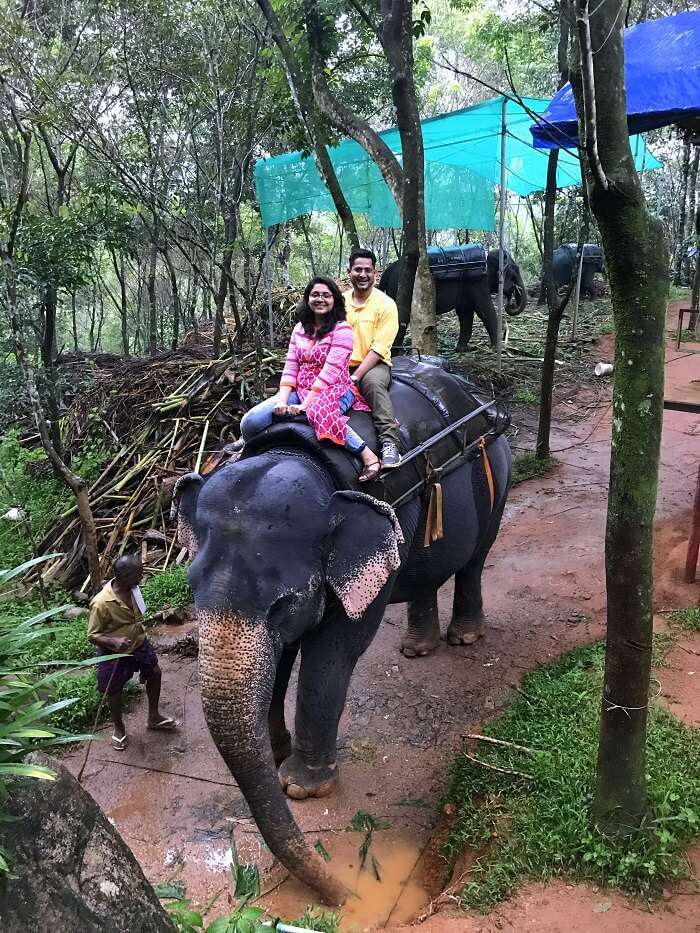 revan aarti kerala elephant ride