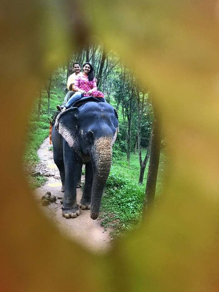 revan aarti kerala riding elephant