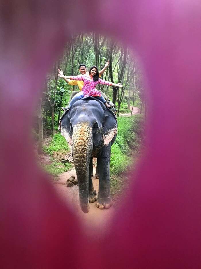 revan aarti kerala elephant riding