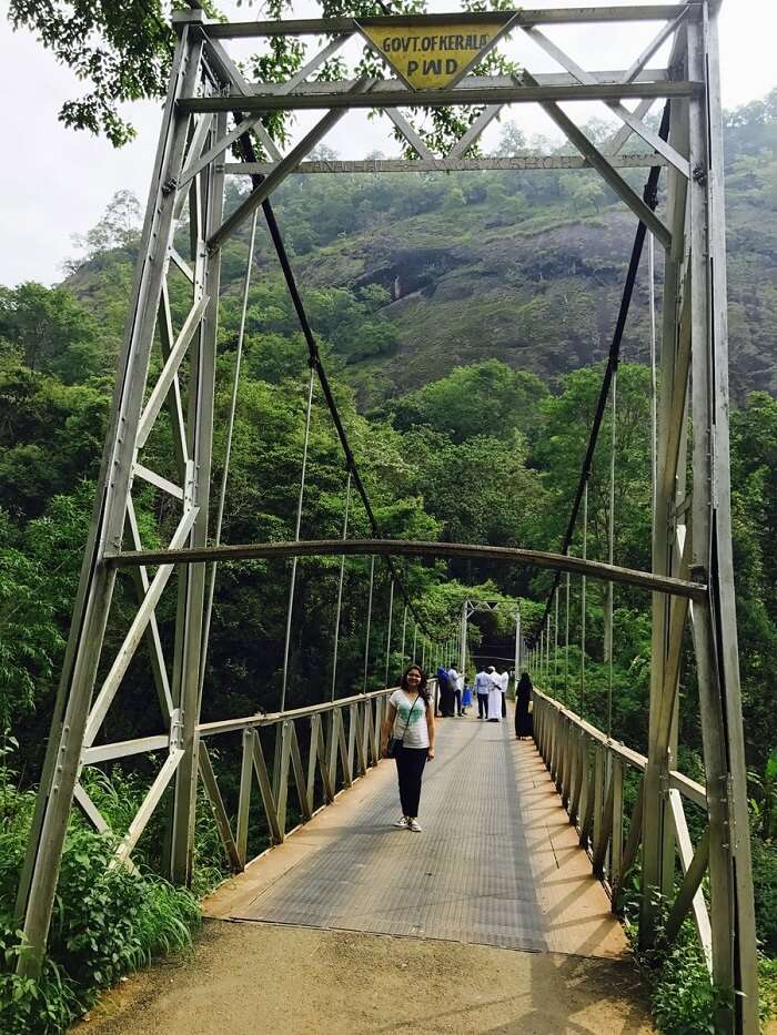 revan aarti kerala munnar bridge