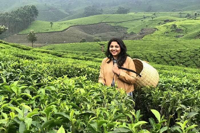 revan kerala blossom park munnar tea estate