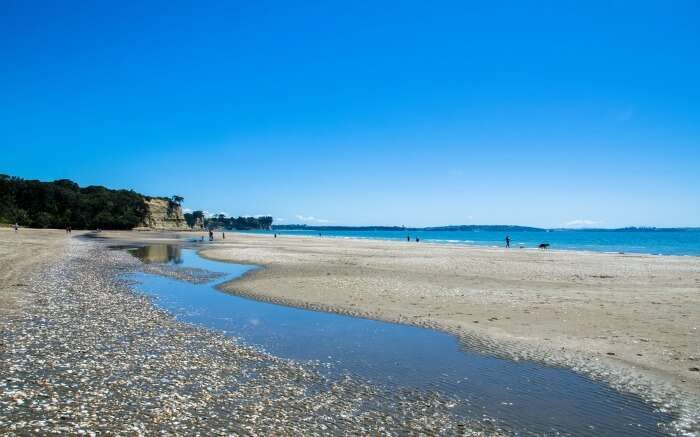 People by the sea beach Long Bay National Park in Auckland 