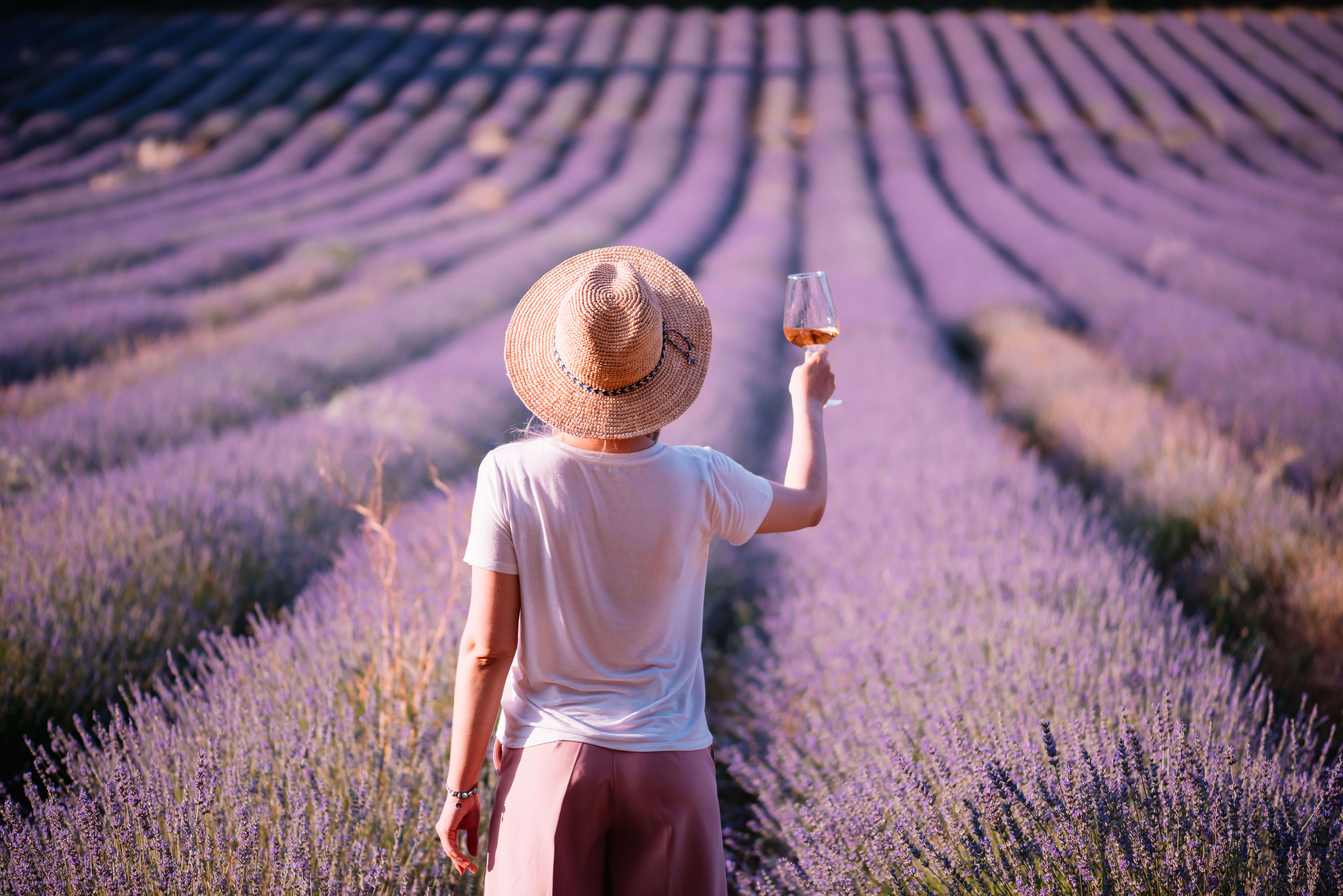 A woman holding wine glass amidst lavender field in Provence, France