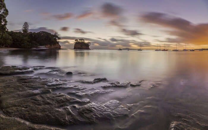 The wonderful evening view of Waiake Beach in Auckland 