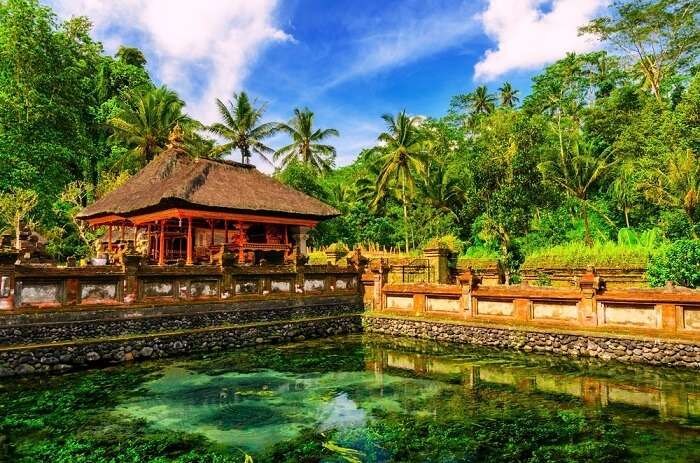 holy water temple in bali