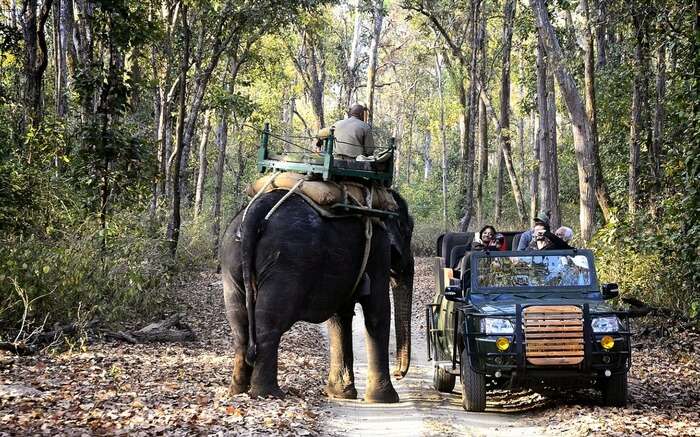 Tourists taking a safari ride in Kanha National Park