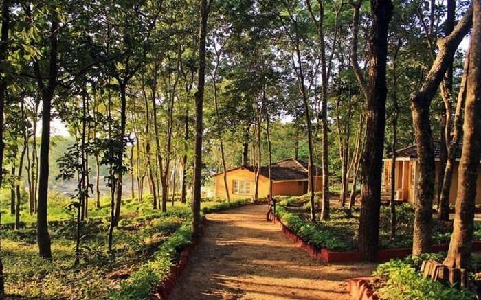 Path leading to a house in Kanha National Park in Madhya Pradesh