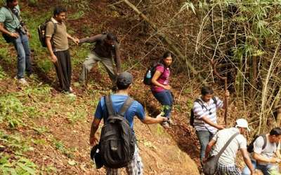 Liesure trip --- Bangalore - TopSlip - Parambikulam Forest