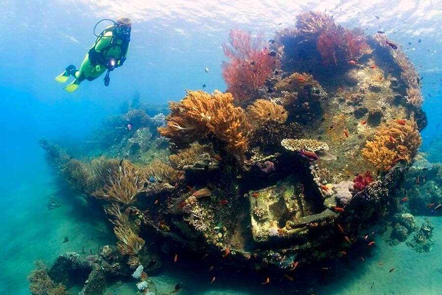 go shipwreck diving in amed beach bali