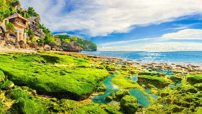 treat the sgreen shores of bingin beach