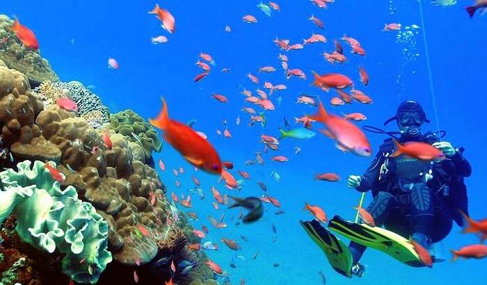 go diving in candidasa beach bali