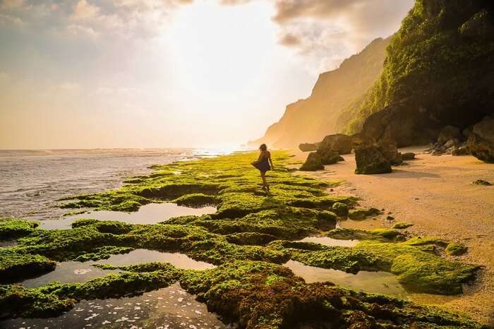 stroll over the green marches of jimbaran beach