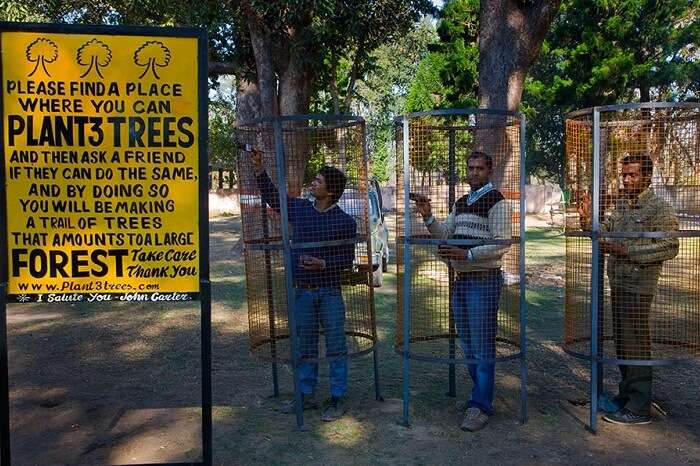 Tourists planting trees at the Chilla Range of Rajaji National Park