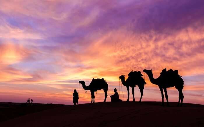 locals with camels in Wadi Rum 