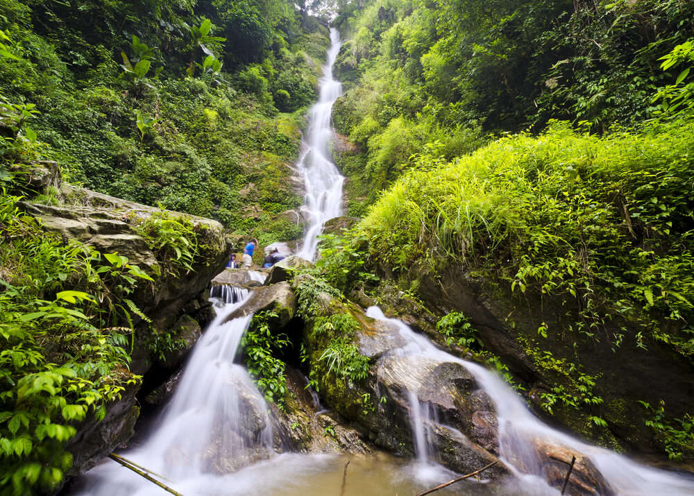 a beautiful waterfall in a forest