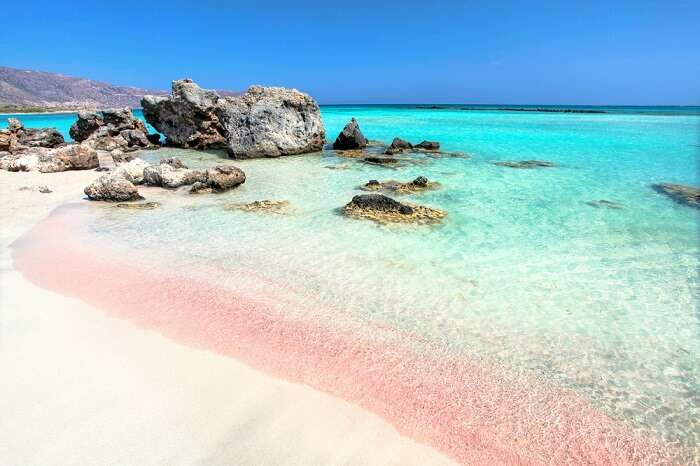 pink corals at elafonissi