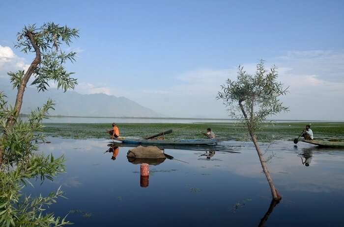 Wular Lake Kashmir