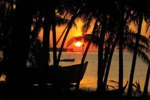 Silhouette of palm trees during sunset at Kalpeni Beach in Lakshadweep