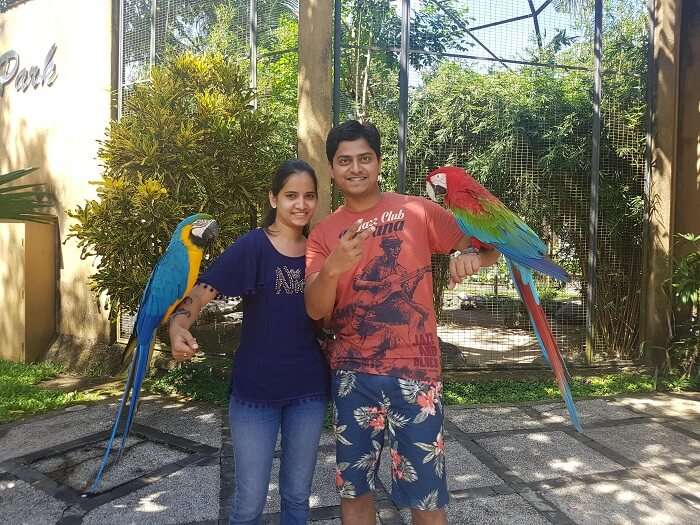 bird park in bali