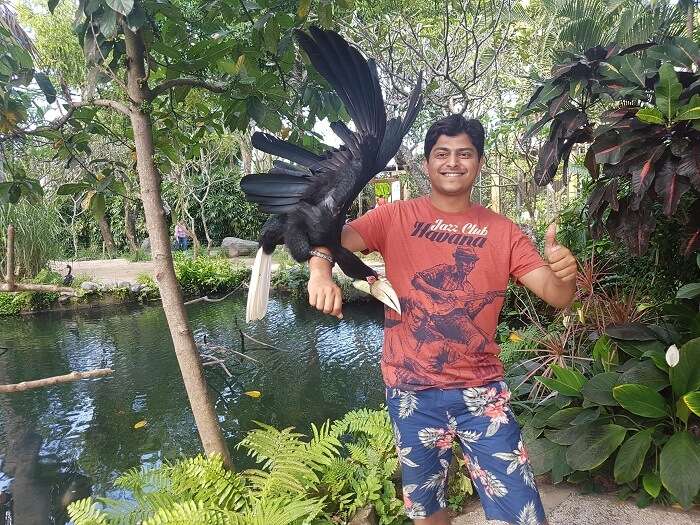 bali park for birds