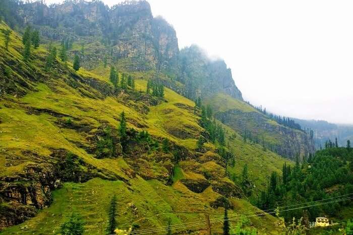 Kothi Village in Manali