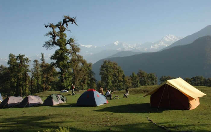 Camps lined up at the campsite in Chopta