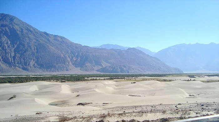 landscape in ladakh