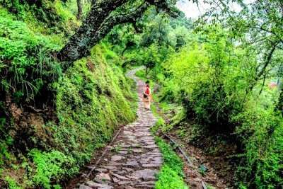 Gilbert Trail, Kasauli