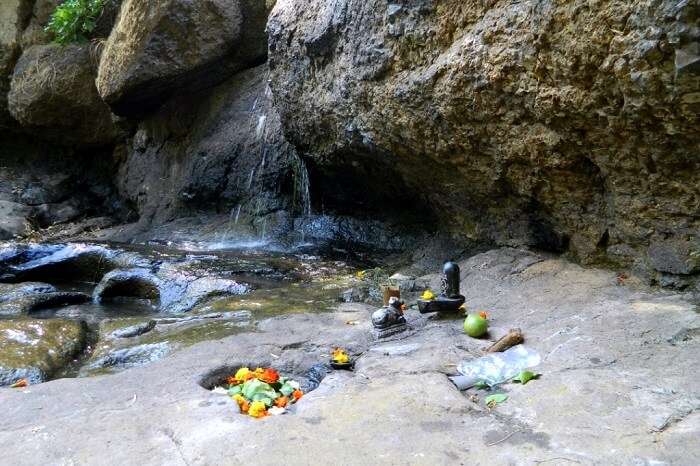 visit the pilgrimage site of Gupt Bhimashankar