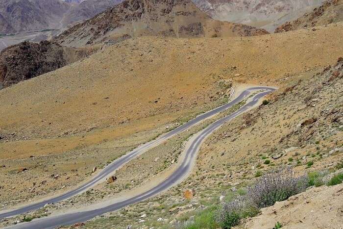 ninad views of ladakh road