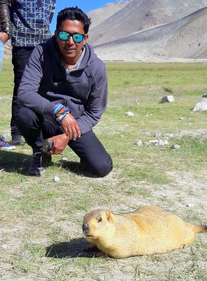 ninad meets a marmot in ladakh