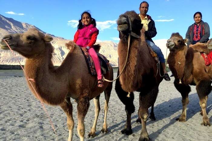 camel ride in nubra valley