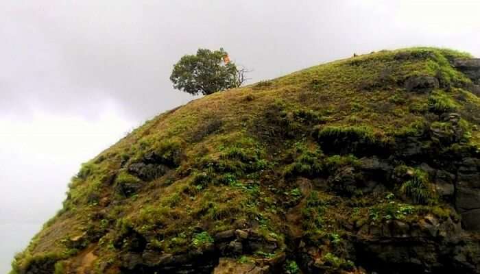 Shivaji’s Ladder