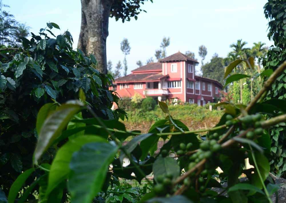 The Coffee Bean Homestay is a 100-year-old heritage home
