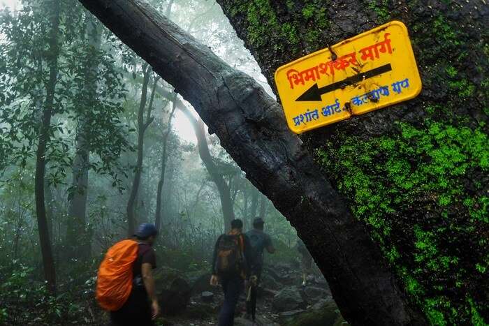 The Ganesh Ghat Route for trekking to bhimashankar