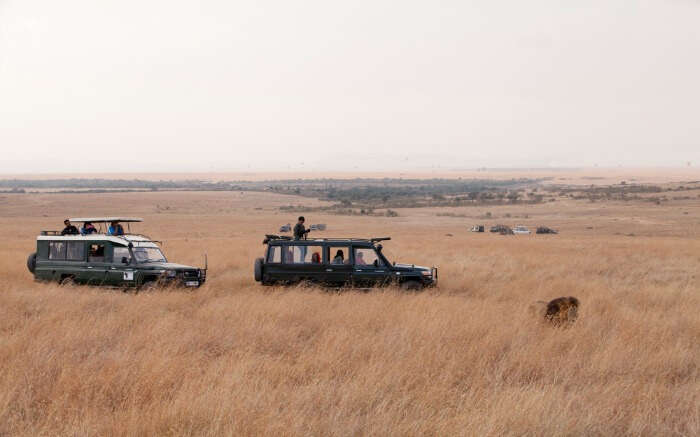 Tourists in a safari jeep in Masai Mara National Park in Kenya v
