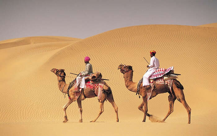 Two men on camelback in desert, Jaiselmer, 