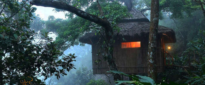Vanya Tree House
