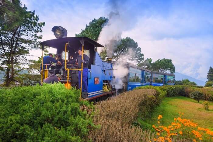 enjoy a trip to darjeeling in december