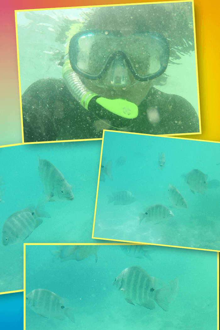 snorkeling activity in the seychelles