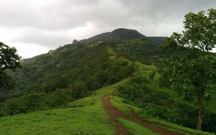 green hill top under cloudy sky 