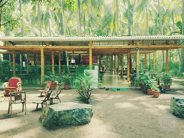 eco resort in alibaug