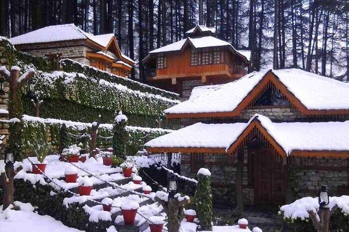 stay at a tree house in manali, among the best new year celebration ideas for couples
