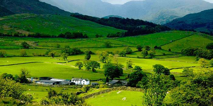 ziro valley festival 