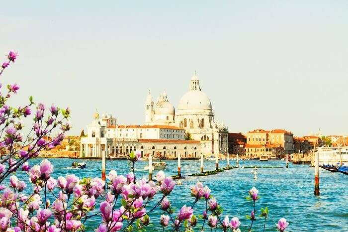 Spring in Venice