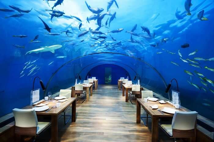 Ithaa Underwater Aquarum Restaurant