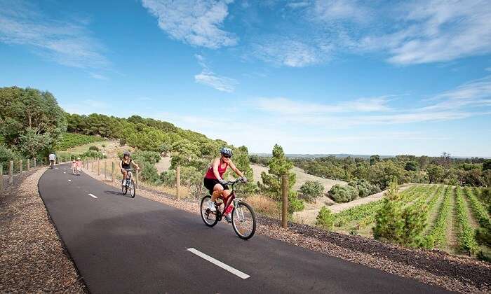 famous Barossa Cycle Tours