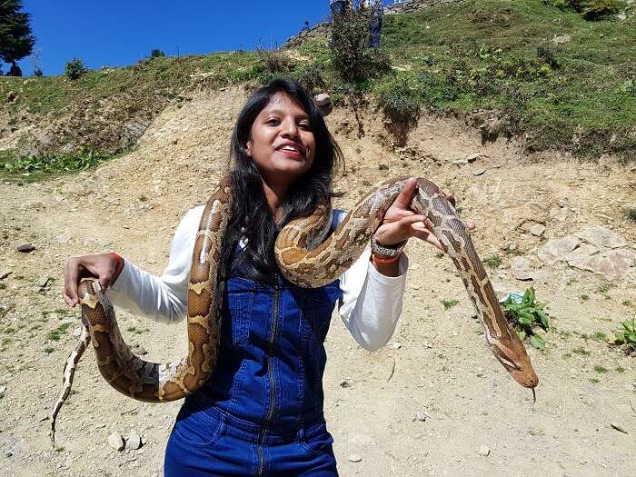 animals in Himachal