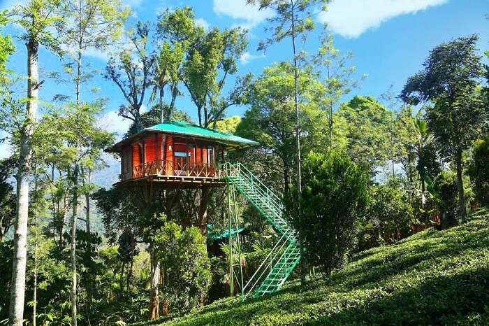 tree house resorts in Kerala