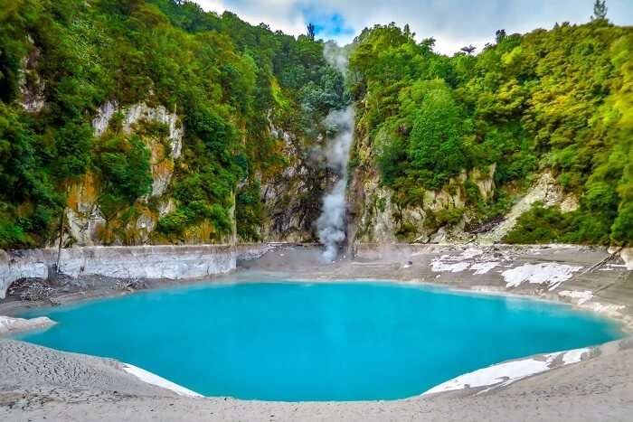 geothermal pools of Rotorua